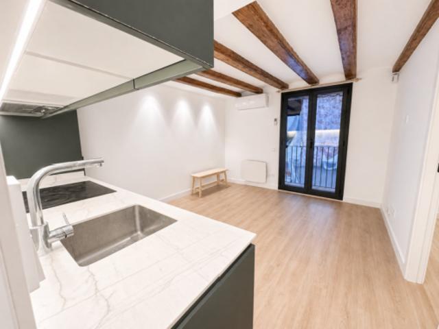 Piso Venta Barcelona Capital, El Raval