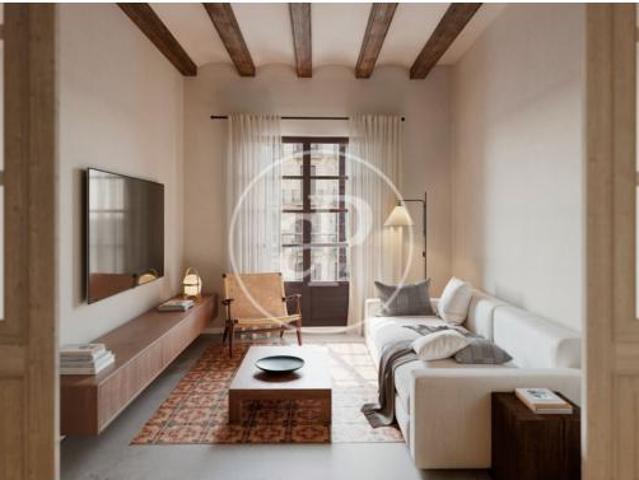 Piso Venta Barcelona Capital, El Raval
