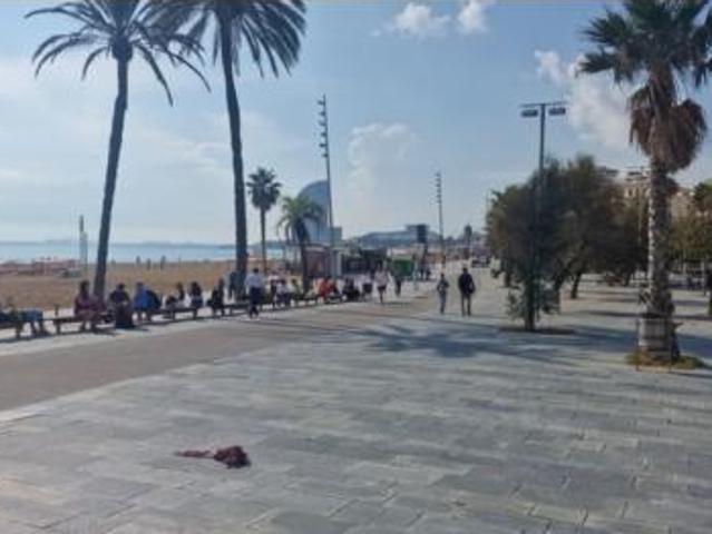 Piso Venta Barcelona Capital, La Barceloneta