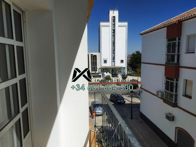 Piso Venta Cádiz