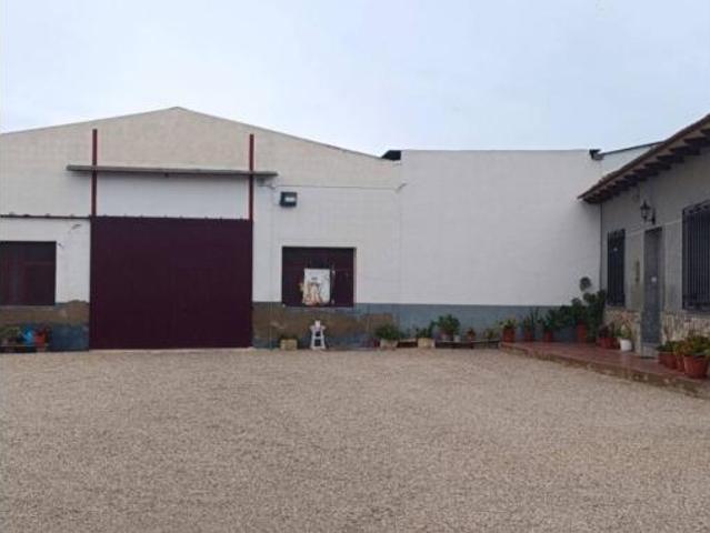 Piso Venta Callosa de Segura, Callosa de Segura