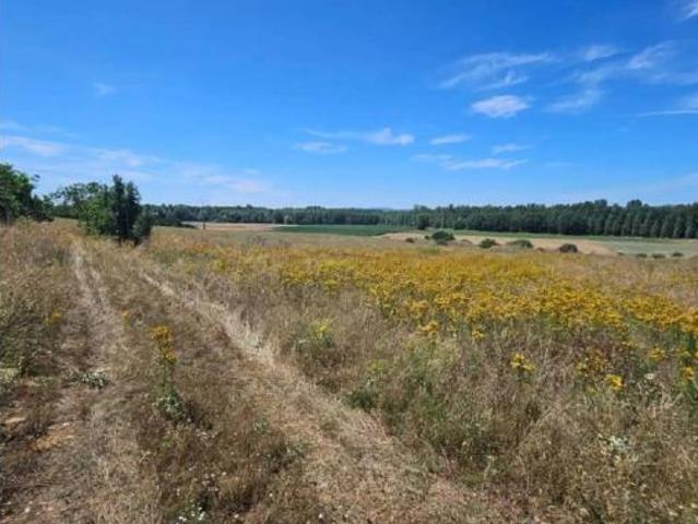 Piso Venta Cebrones del Río, Cebrones del Río