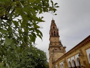 Calle Batalla de los Cueros, Levante, Córdoba, La Campiñuela, Córdoba, Andalucía, Andalucía