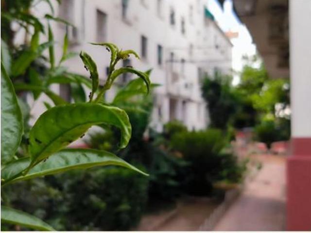 Piso Venta Córdoba Capital, Santa Marina San Andrés San Pablo San Lorenzo