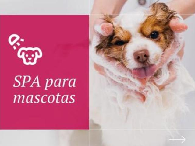 Piso Venta Dénia, Les Deveses Monte Pego