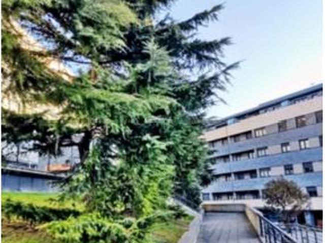 Piso Venta El Astillero, El Astillero