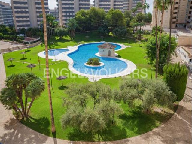 Piso Venta El Campello, Platja Muchavista