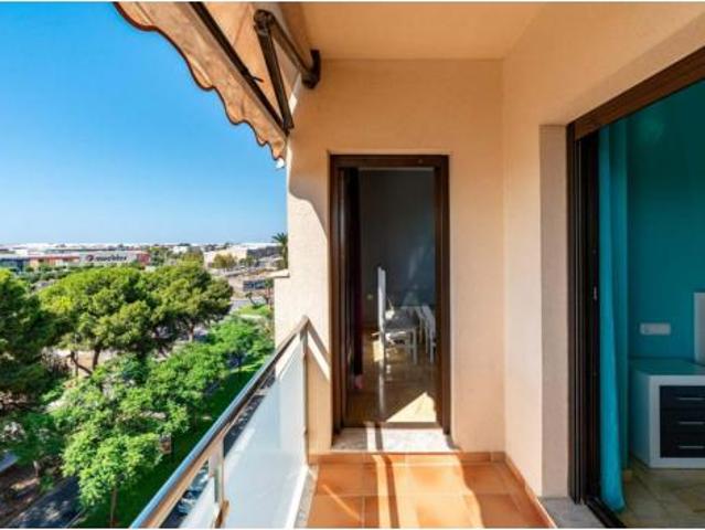 Piso Venta El Ejido, Barrio Sur