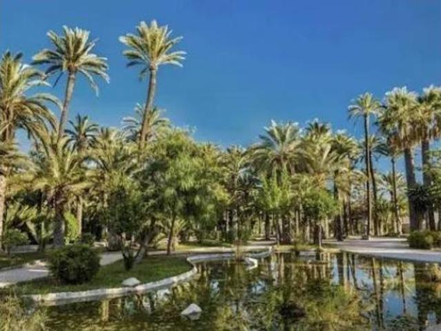 Piso Venta Elx Elche, Carrús Oeste El Toscar