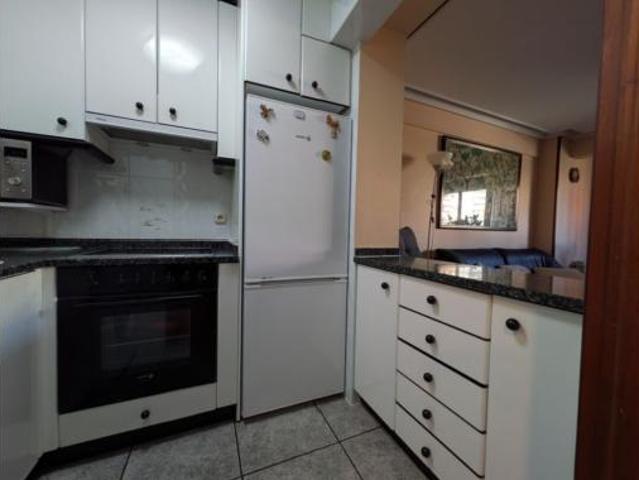 Piso Venta Errenteria, Beraun Pontika