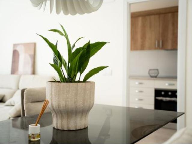Piso Venta Godella, Godella