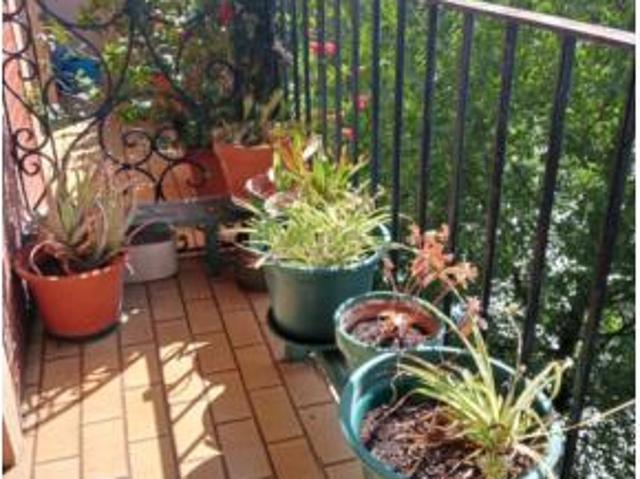 Piso Venta Irun, Erdialdea Alde Zaharra Mendibil Santiago