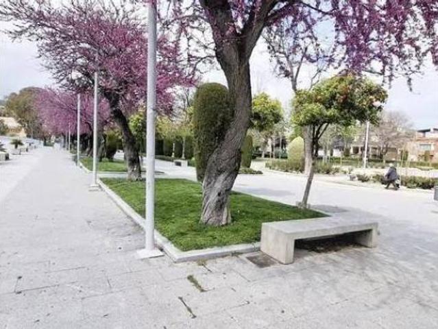 Piso Venta Jaén Capital, San Ildefonso Barrio de la Catedral