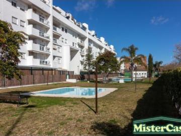 Jerez de la Frontera, Cádiz, Andalucía, Andalucía