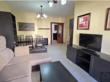 El Rocío, Jerez de la Frontera, La Teja, Cádiz, Andalucía, Andalucía