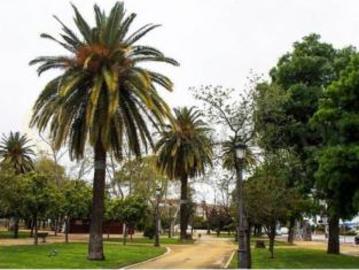Piso Venta Jerez de la Frontera, Este