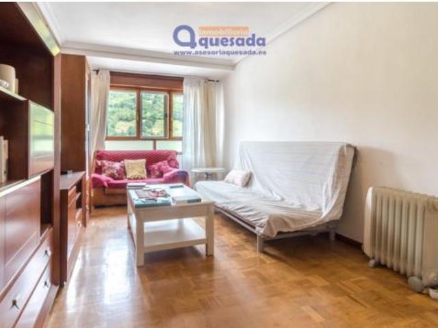 Piso Venta Lena, Pola de Lena