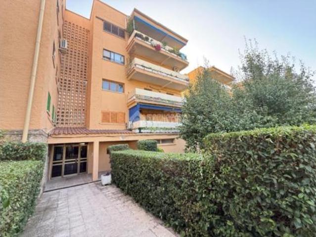 Piso Venta Loeches, Loeches