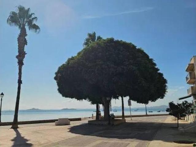 Piso Venta Los Alcázares, Los Alcázares