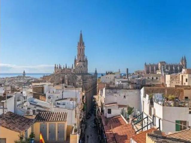 Piso Venta Palma de Mallorca, Cort