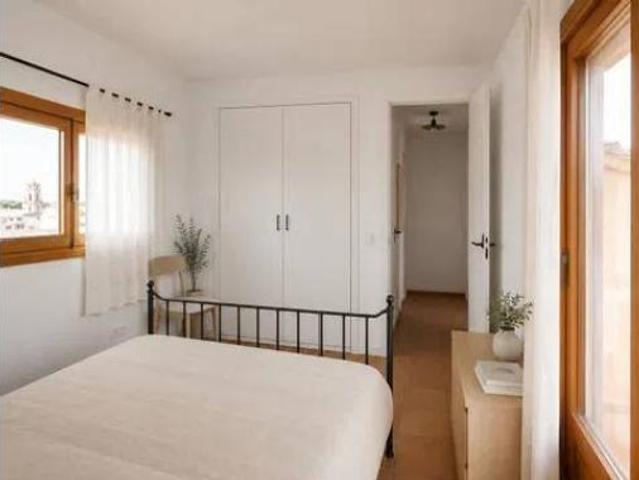 Piso Venta Palma de Mallorca, Cort