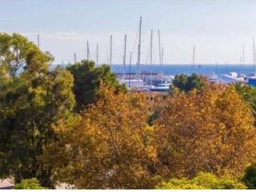 Piso Venta Palma de Mallorca, Palma de Mallorca