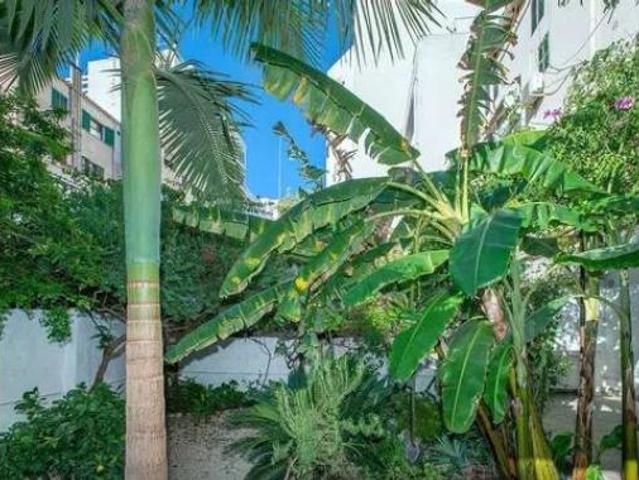 Piso Venta Palma de Mallorca, Pere Garau