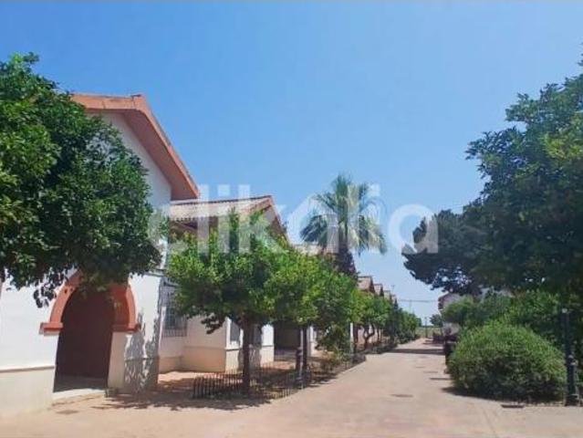 Piso Venta Palma del Río, Palma del Río