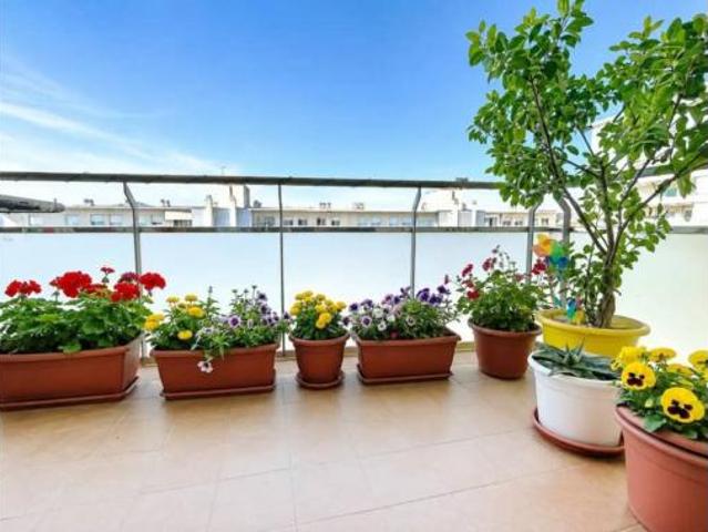Piso Venta Palafrugell, Palafrugell Poble