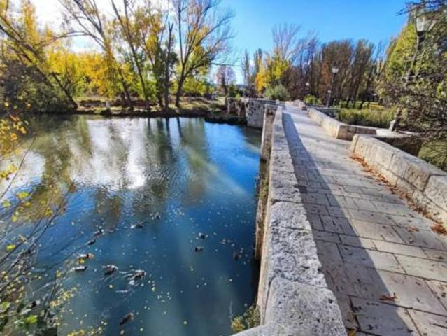 Piso Venta Palencia Capital, Palencia Capital