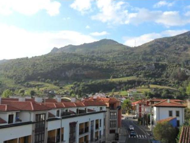 Piso Venta Peñamellera Baja, Panes