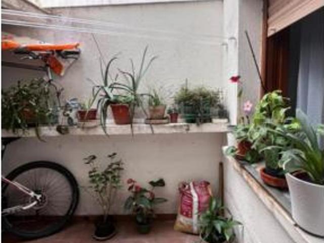 Piso Venta Plasencia, Plasencia