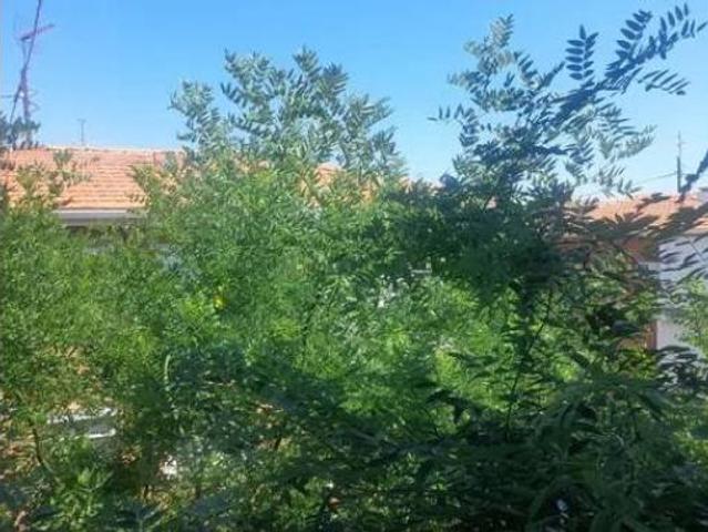 Piso Venta Pozuelo de Alarcón, Pueblo
