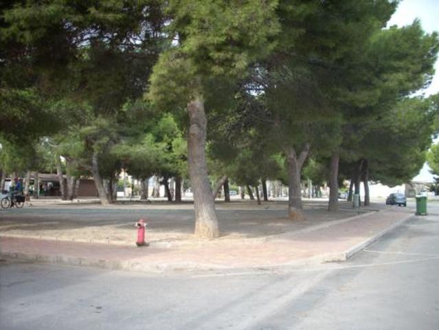 Piso Venta San Pedro del Pinatar, Los Cuarteros