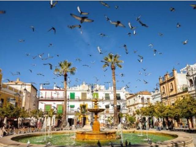 Piso Venta Sanlúcar de Barrameda, Centro Calzada
