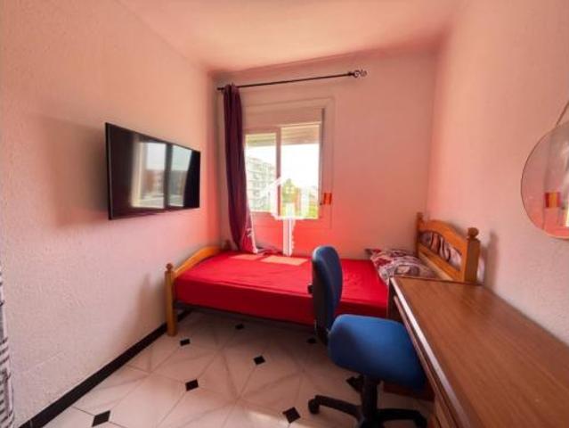 Piso Venta Sant Vicent del Raspeig San Vicente del Raspeig, Haygon Universidad