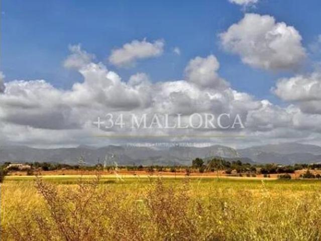 Piso Venta Santa Eugènia, Santa Eugènia