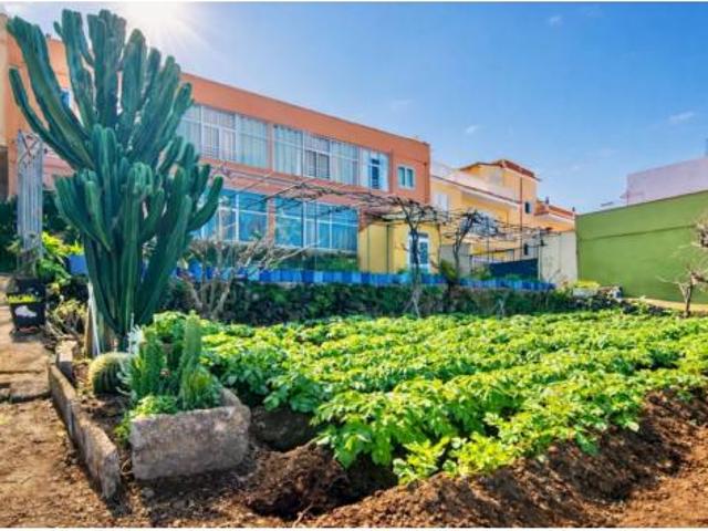 Piso Venta Santa Úrsula, Acequia