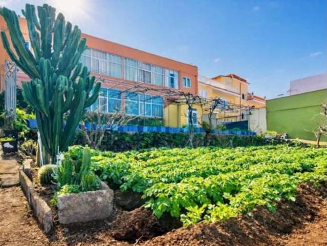 Piso Venta Santa Úrsula, Santa Úrsula
