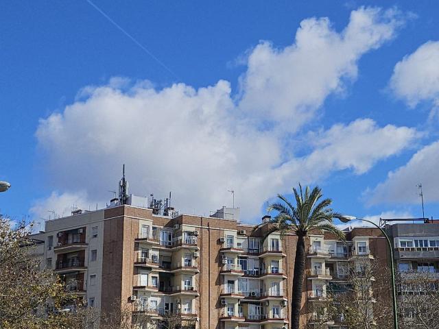 Piso Venta Sevilla