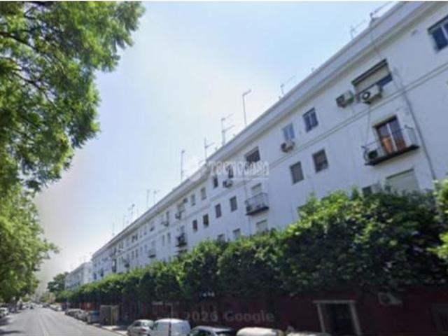 Piso Venta Sevilla Capital, Barrio León El Tardón Blas Infante