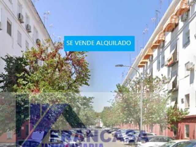 Piso Venta Sevilla Capital, Barrio León El Tardón Blas Infante