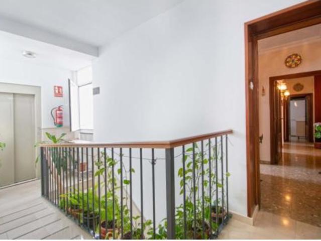 Piso Venta Sevilla Capital, El Plantinar El Juncal Avenida de la Paz