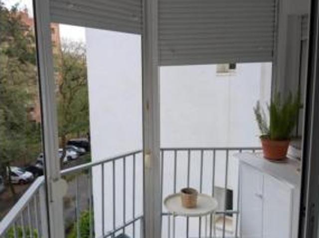 Piso Venta Sevilla Capital, La Salle Pino Flores