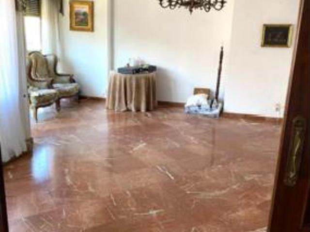 Piso Venta Sevilla Capital, Museo