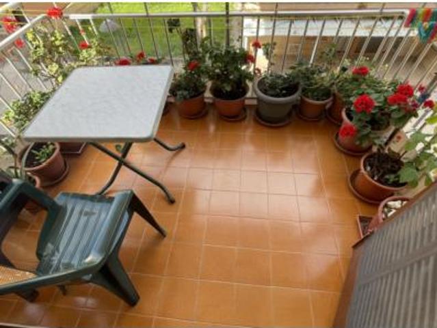 Piso Venta Son Servera, Cala Millor