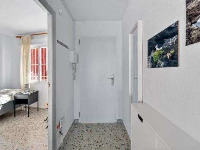 Piso Venta Torrevieja, Playa de los Locos Los Frutales Cabo Cervera