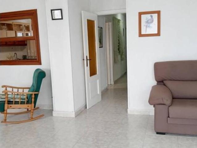 Piso Venta Torrevieja, Playa de los Locos Los Frutales Cabo Cervera