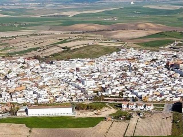 Piso Venta Trebujena, Trebujena