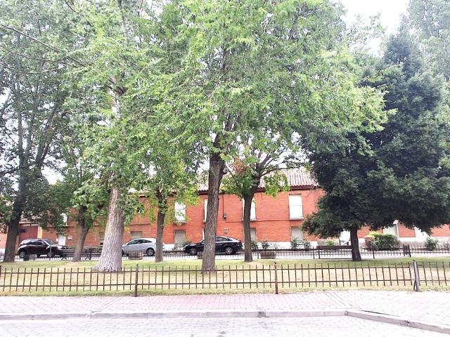 Piso Venta Valladolid